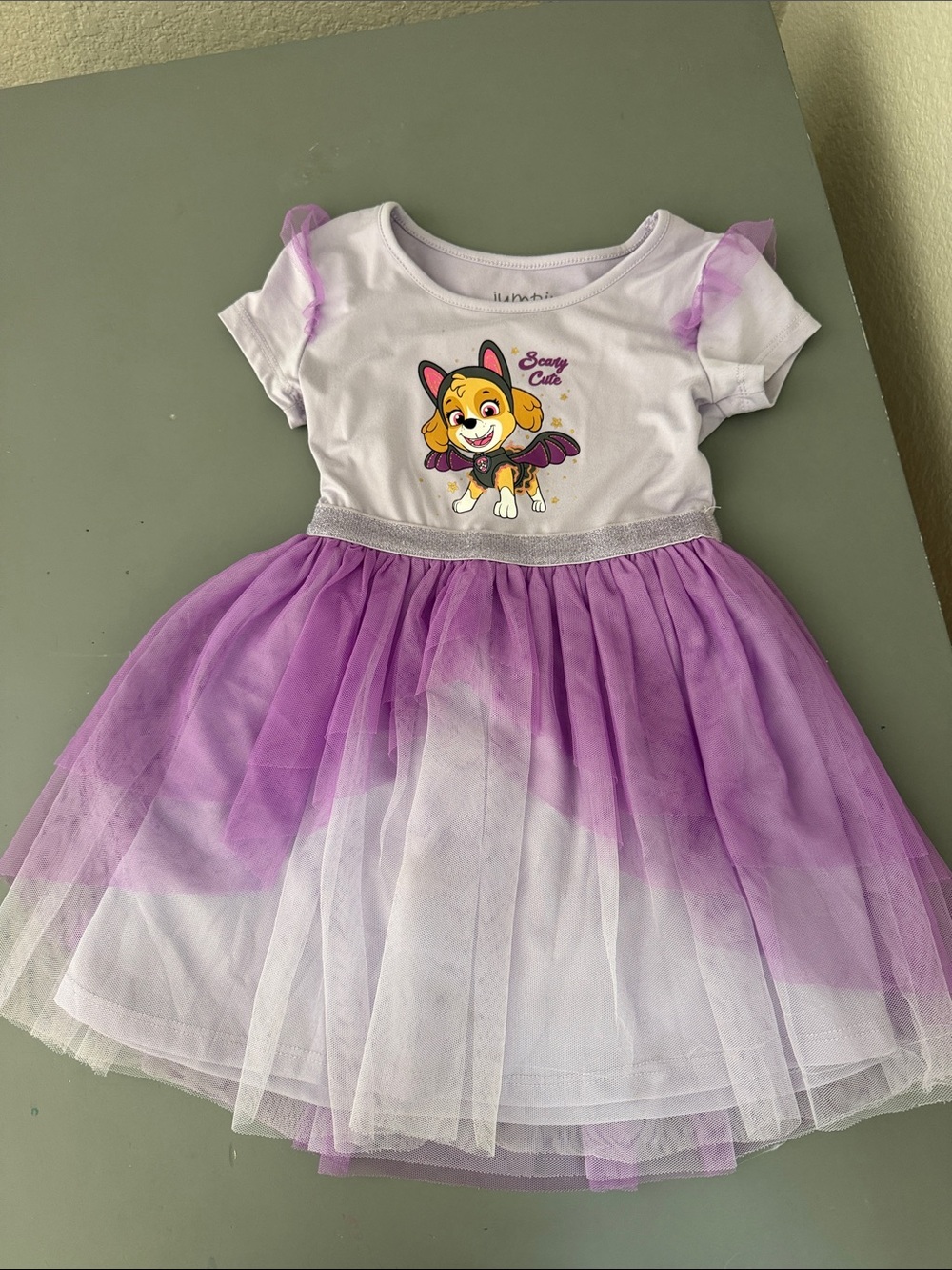 Paw Patrol Purple and White Tulle Dress Costume